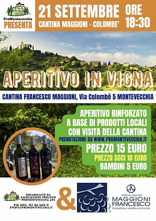 Aperitivo in vigna a montevecchia